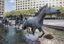 Freeskiing’s Blonde Wonder Woman