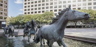 Freeskiing’s Blonde Wonder Woman