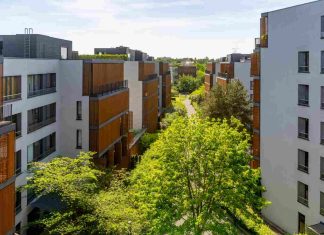 Alceane logement sociaux